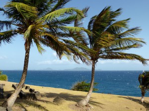 Restaurant IL Faro et alentours              